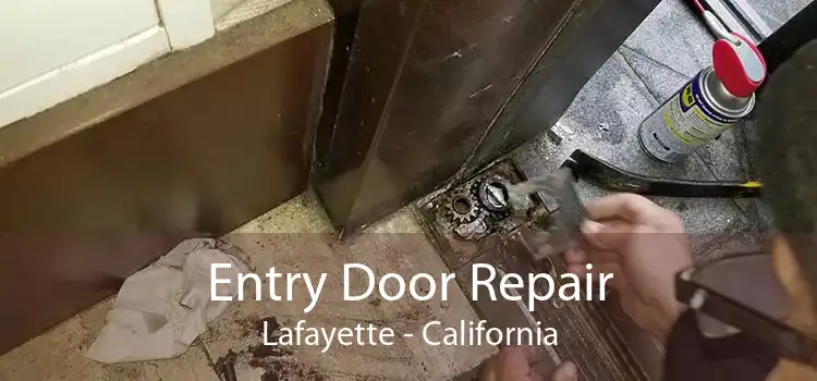 Entry Door Repair Lafayette - California