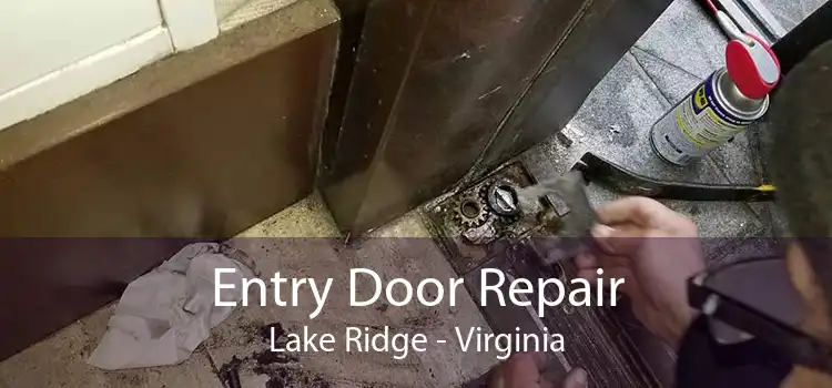 Entry Door Repair Lake Ridge - Virginia