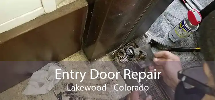 Entry Door Repair Lakewood - Colorado