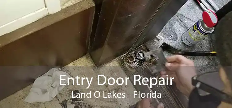 Entry Door Repair Land O Lakes - Florida