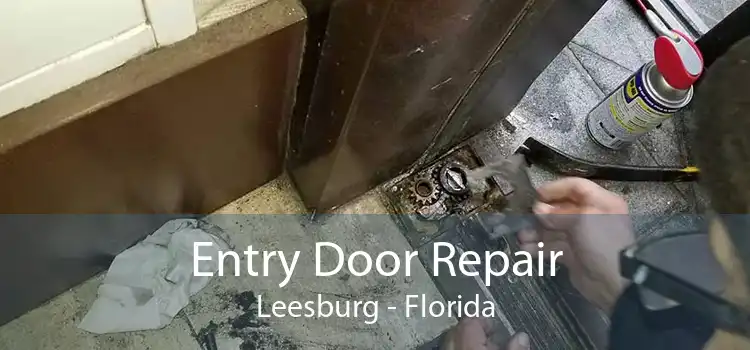 Entry Door Repair Leesburg - Florida