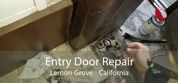Entry Door Repair Lemon Grove - California