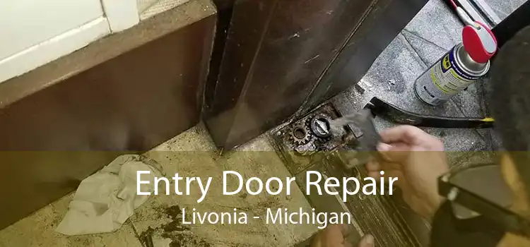 Entry Door Repair Livonia - Michigan
