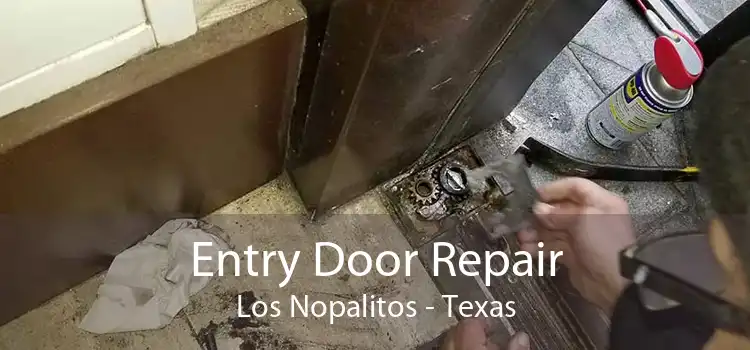 Entry Door Repair Los Nopalitos - Texas