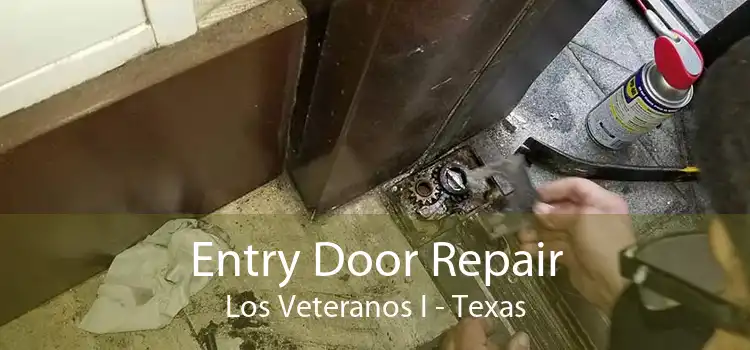 Entry Door Repair Los Veteranos I - Texas