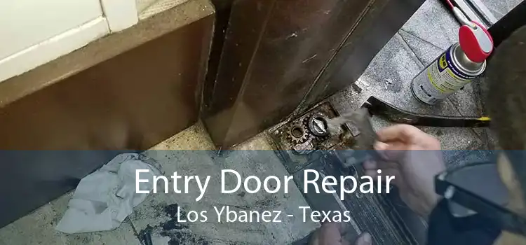Entry Door Repair Los Ybanez - Texas