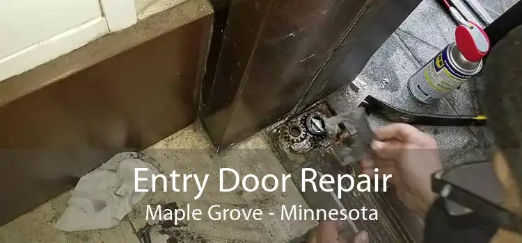 Entry Door Repair Maple Grove - Minnesota