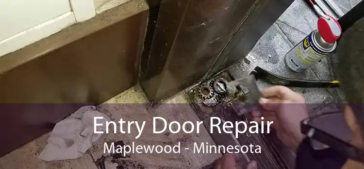 Entry Door Repair Maplewood - Minnesota