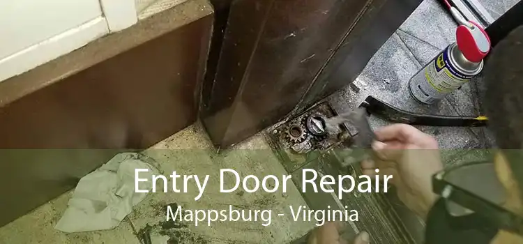 Entry Door Repair Mappsburg - Virginia