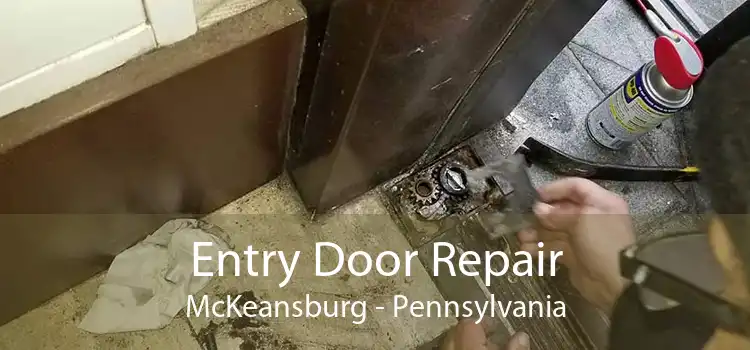 Entry Door Repair McKeansburg - Pennsylvania
