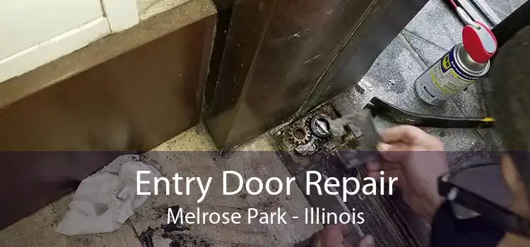 Entry Door Repair Melrose Park - Illinois