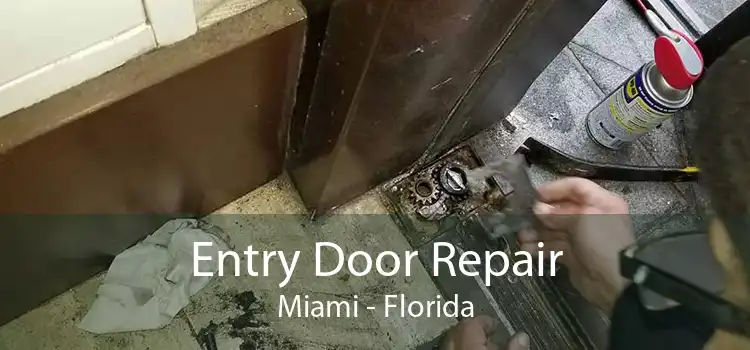 Entry Door Repair Miami - Florida