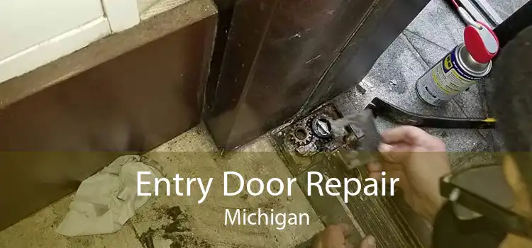 Entry Door Repair Michigan