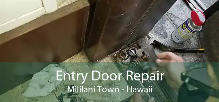 Entry Door Repair Mililani Town - Hawaii