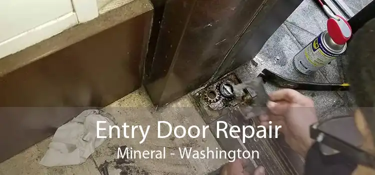 Entry Door Repair Mineral - Washington