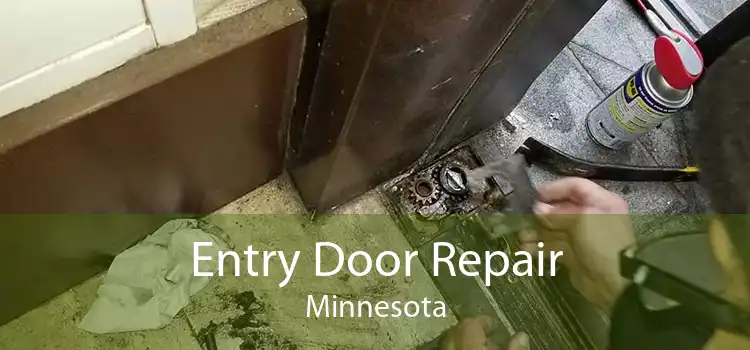 Entry Door Repair Minnesota