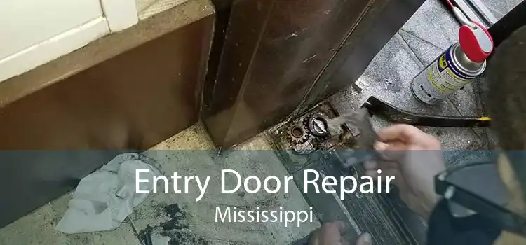 Entry Door Repair Mississippi