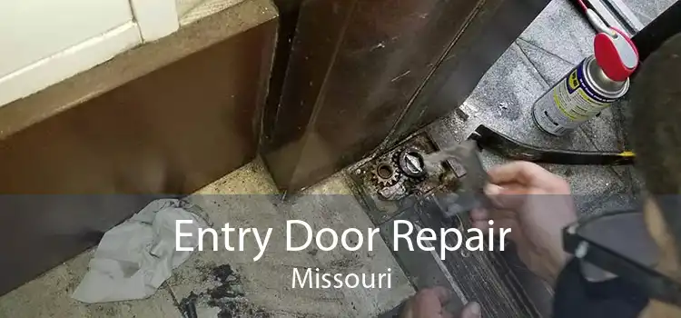 Entry Door Repair Missouri