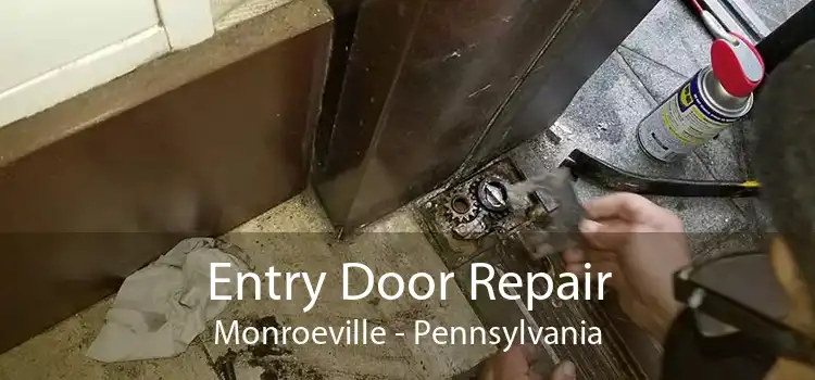 Entry Door Repair Monroeville - Pennsylvania