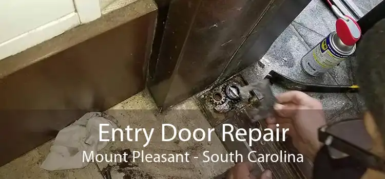 Entry Door Repair Mount Pleasant - South Carolina