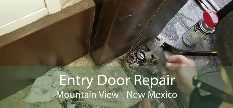 Entry Door Repair Mountain View - New Mexico