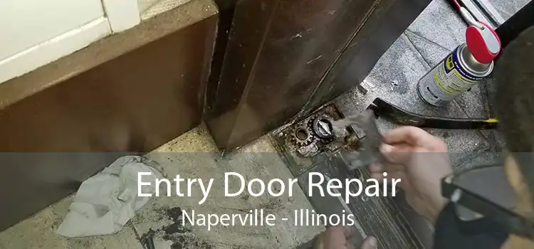 Entry Door Repair Naperville - Illinois