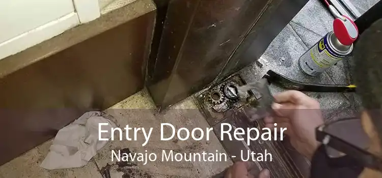 Entry Door Repair Navajo Mountain - Utah