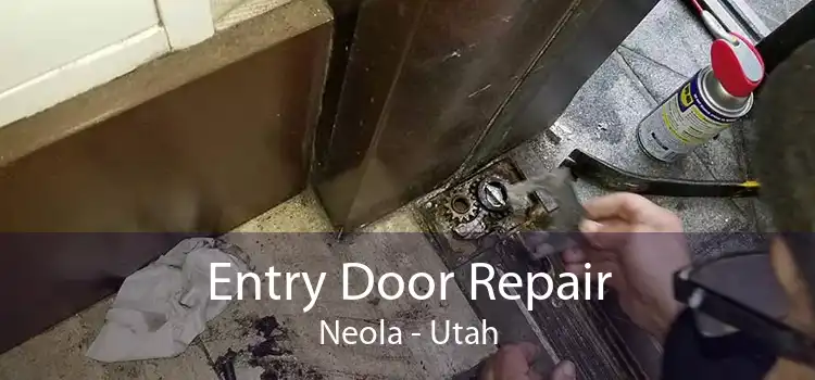 Entry Door Repair Neola - Utah