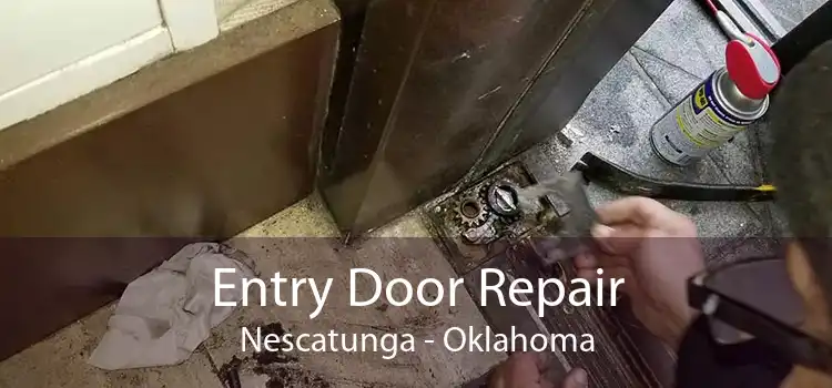 Entry Door Repair Nescatunga - Oklahoma