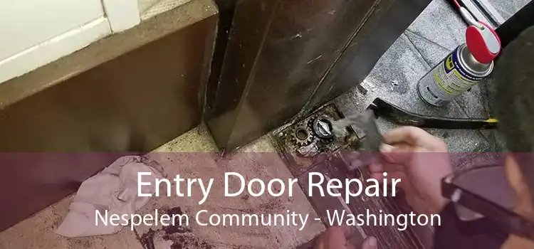 Entry Door Repair Nespelem Community - Washington