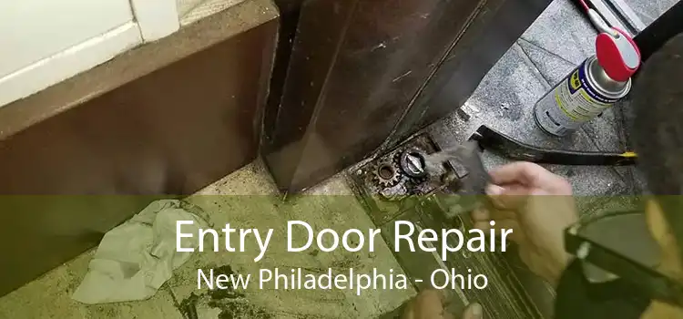 Entry Door Repair New Philadelphia - Ohio
