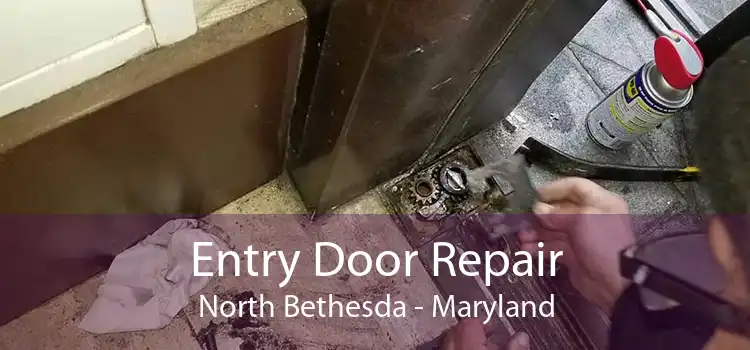 Entry Door Repair North Bethesda - Maryland