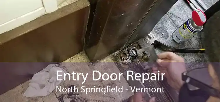 Entry Door Repair North Springfield - Vermont