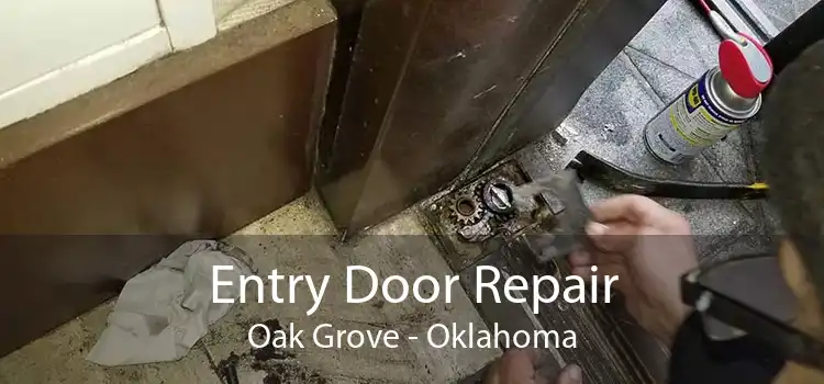Entry Door Repair Oak Grove - Oklahoma