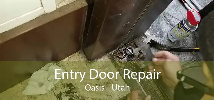 Entry Door Repair Oasis - Utah