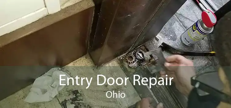 Entry Door Repair Ohio