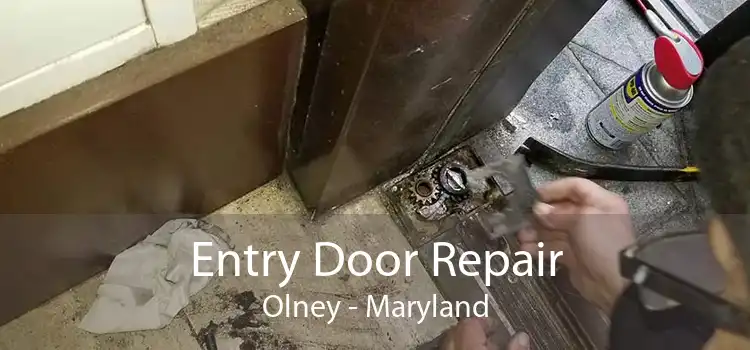 Entry Door Repair Olney - Maryland