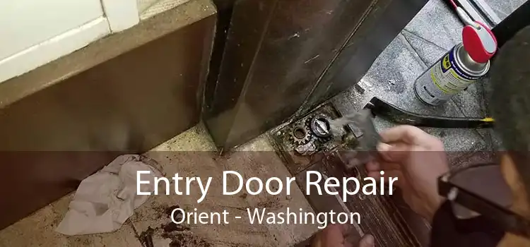 Entry Door Repair Orient - Washington