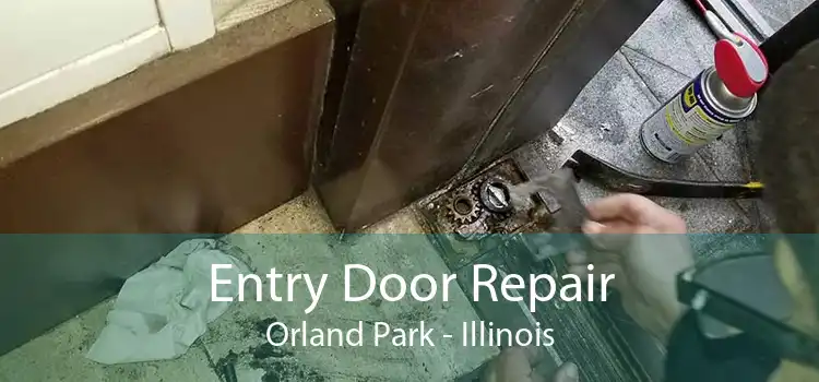 Entry Door Repair Orland Park - Illinois