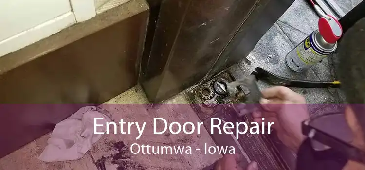 Entry Door Repair Ottumwa - Iowa