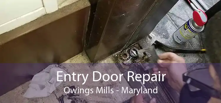 Entry Door Repair Owings Mills - Maryland