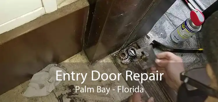 Entry Door Repair Palm Bay - Florida
