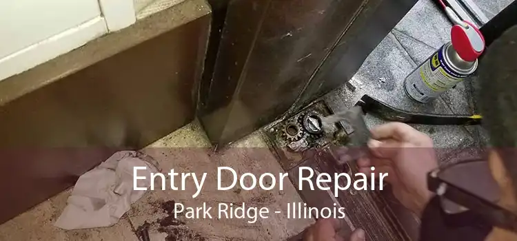 Entry Door Repair Park Ridge - Illinois