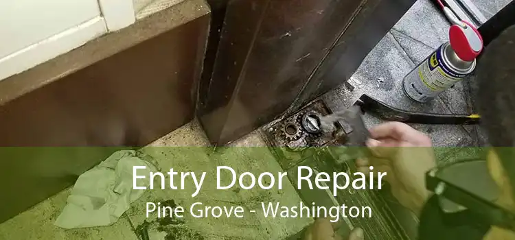 Entry Door Repair Pine Grove - Washington