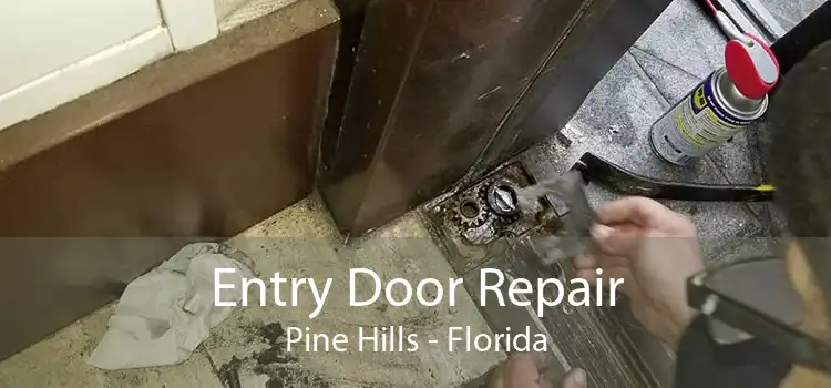 Entry Door Repair Pine Hills - Florida