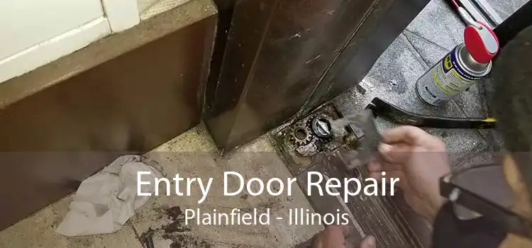 Entry Door Repair Plainfield - Illinois