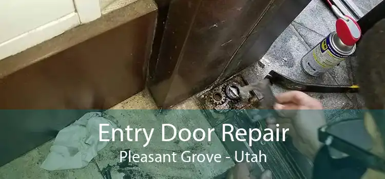 Entry Door Repair Pleasant Grove - Utah