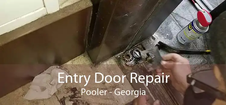 Entry Door Repair Pooler - Georgia