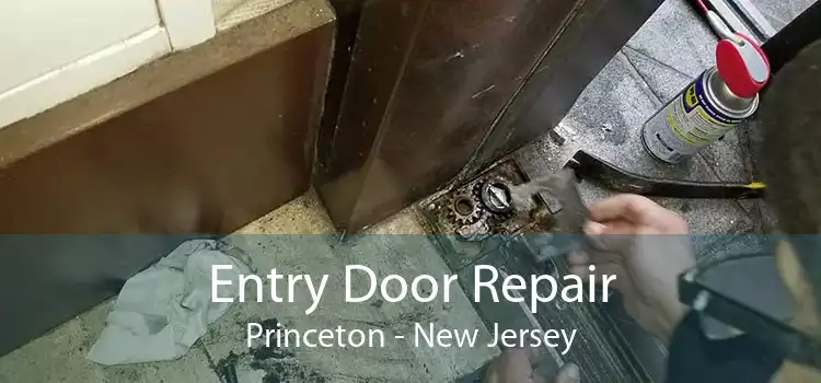 Entry Door Repair Princeton - New Jersey