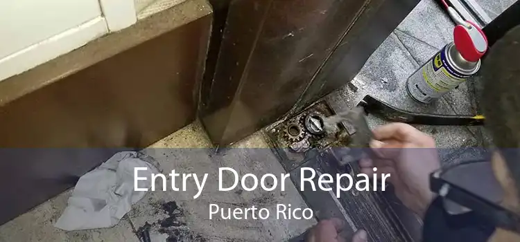 Entry Door Repair Puerto Rico